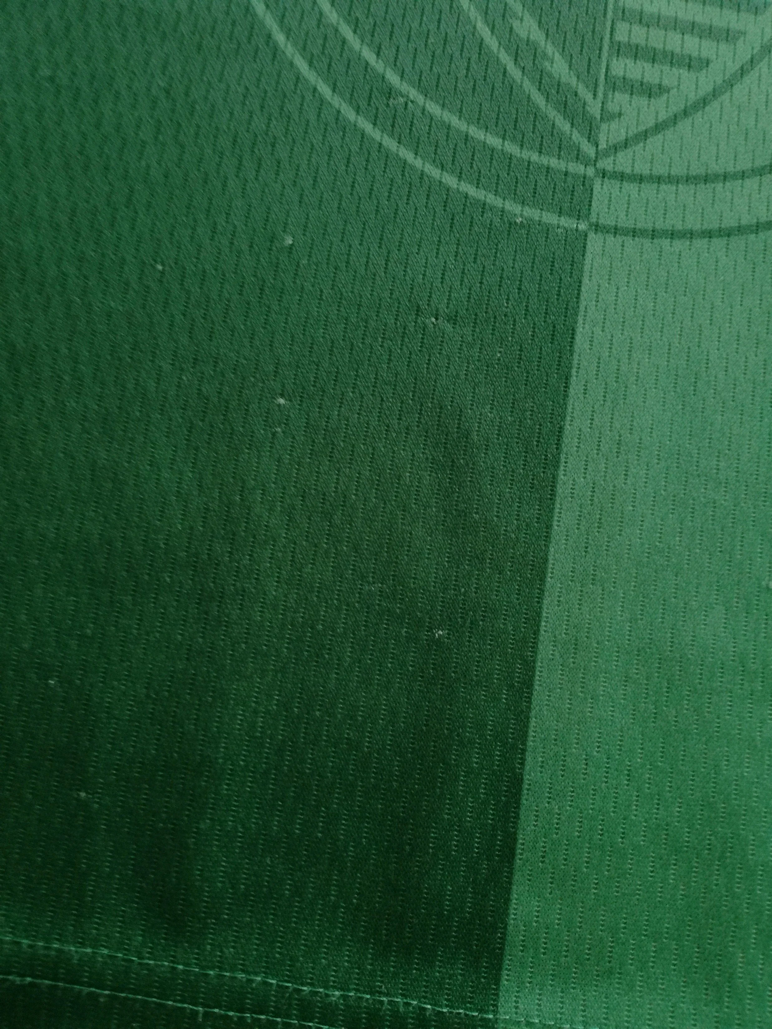 1997 Palmeiras Home Football Shirt #10 (L) - Image 8