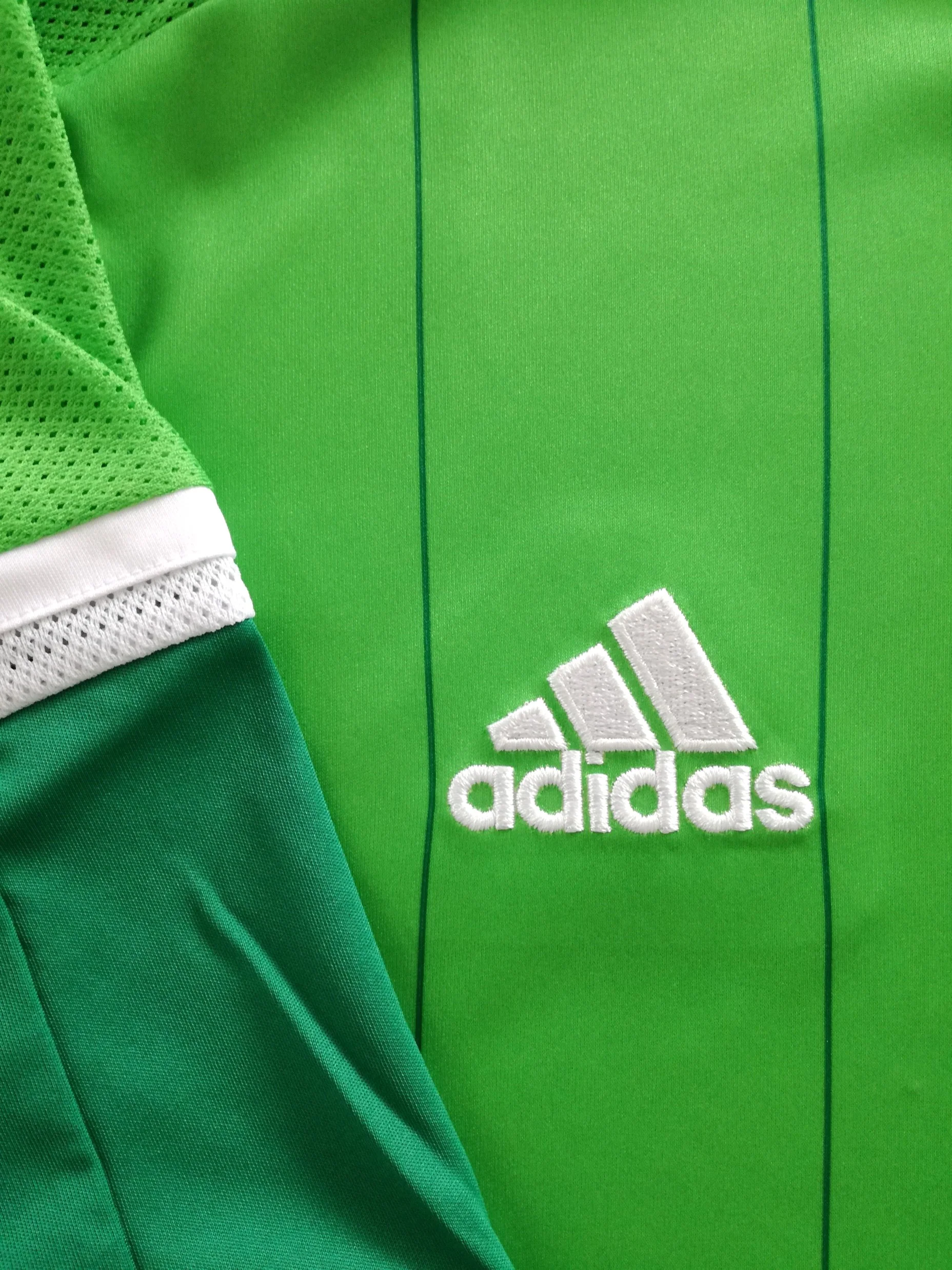 2014/15 Nigeria Home Football Shirt (L) *BNWT* - Image 3